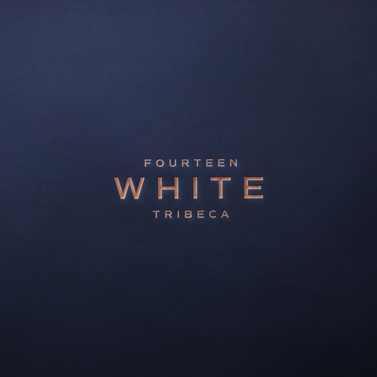 Fourteen White Tribeca – Brand logo design alongside rooftop terrace architectural render at dusk