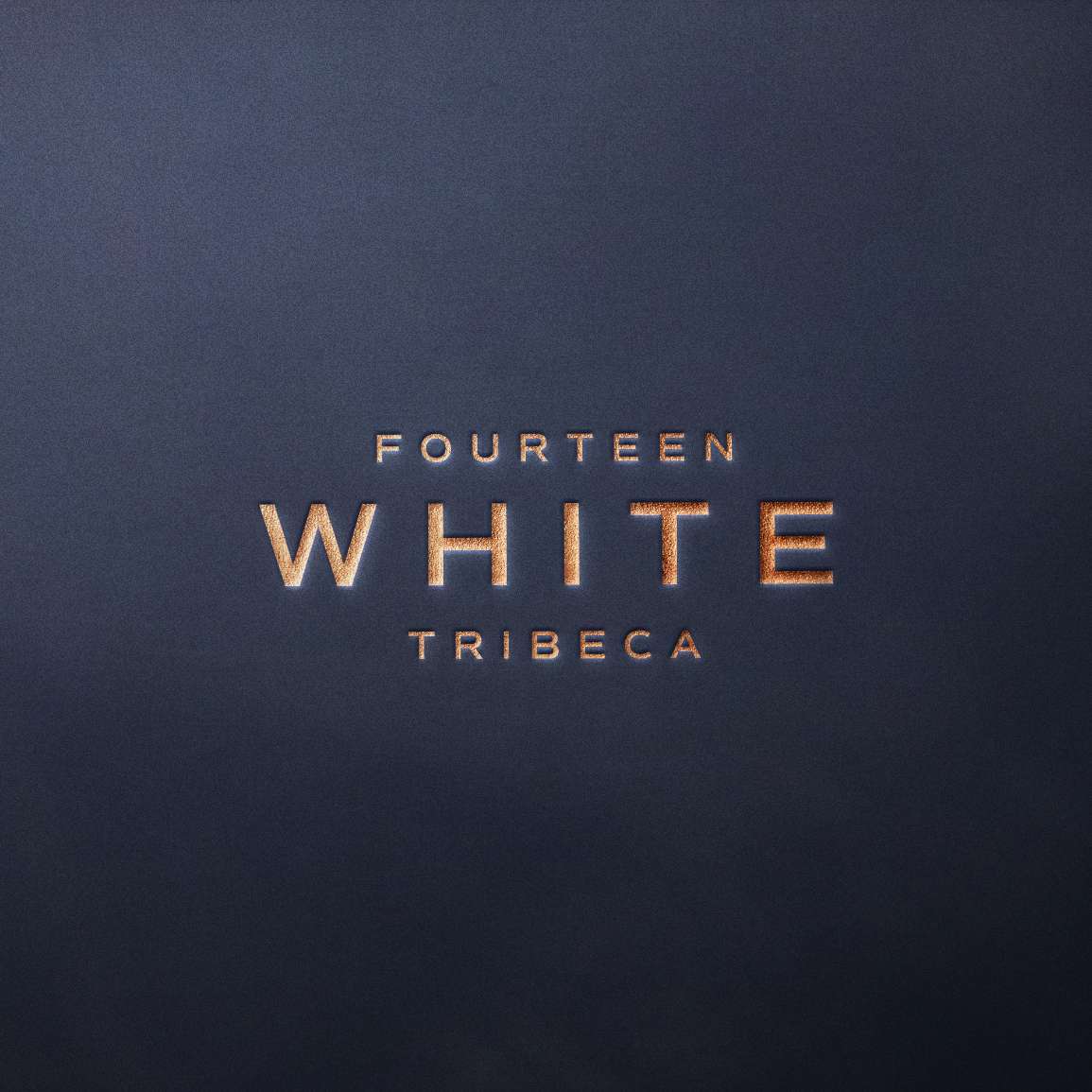 Fourteen White Tribeca – Luxury Residential Branding and Collateral Design by Pedja Zdravkovic